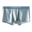 Ice Silk Underwear