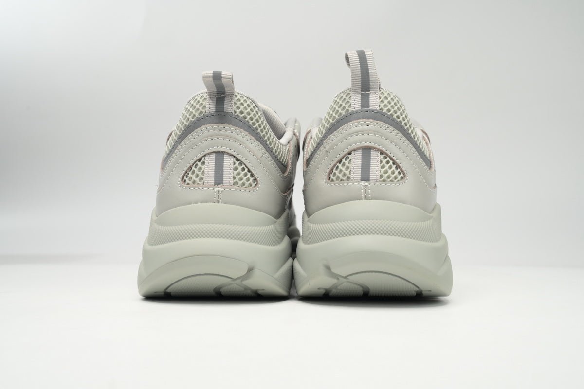 DIOR B22 GREY - netstar