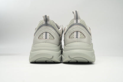 DIOR B22 GREY - netstar