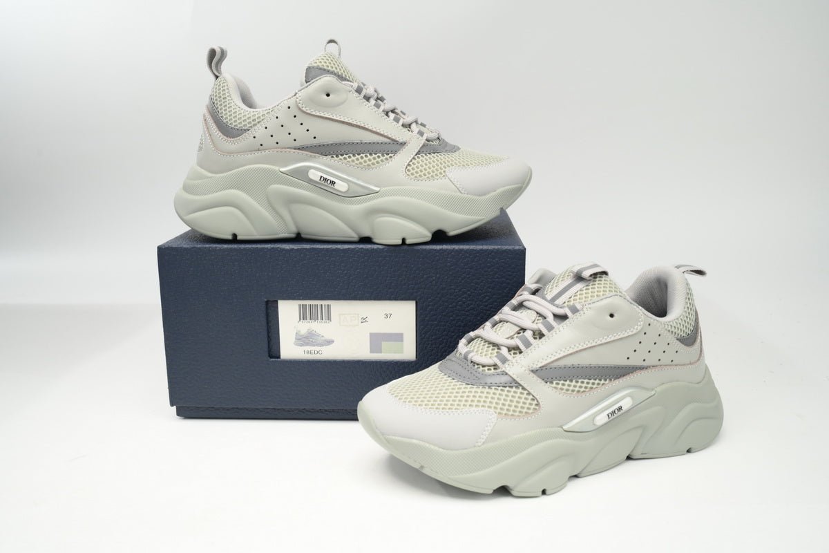 DIOR B22 GREY - netstar