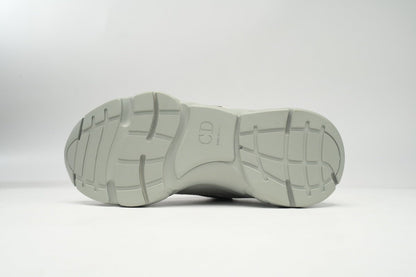 DIOR B22 GREY - netstar