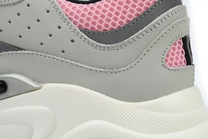 DIOR B22 PINK GREY - netstar