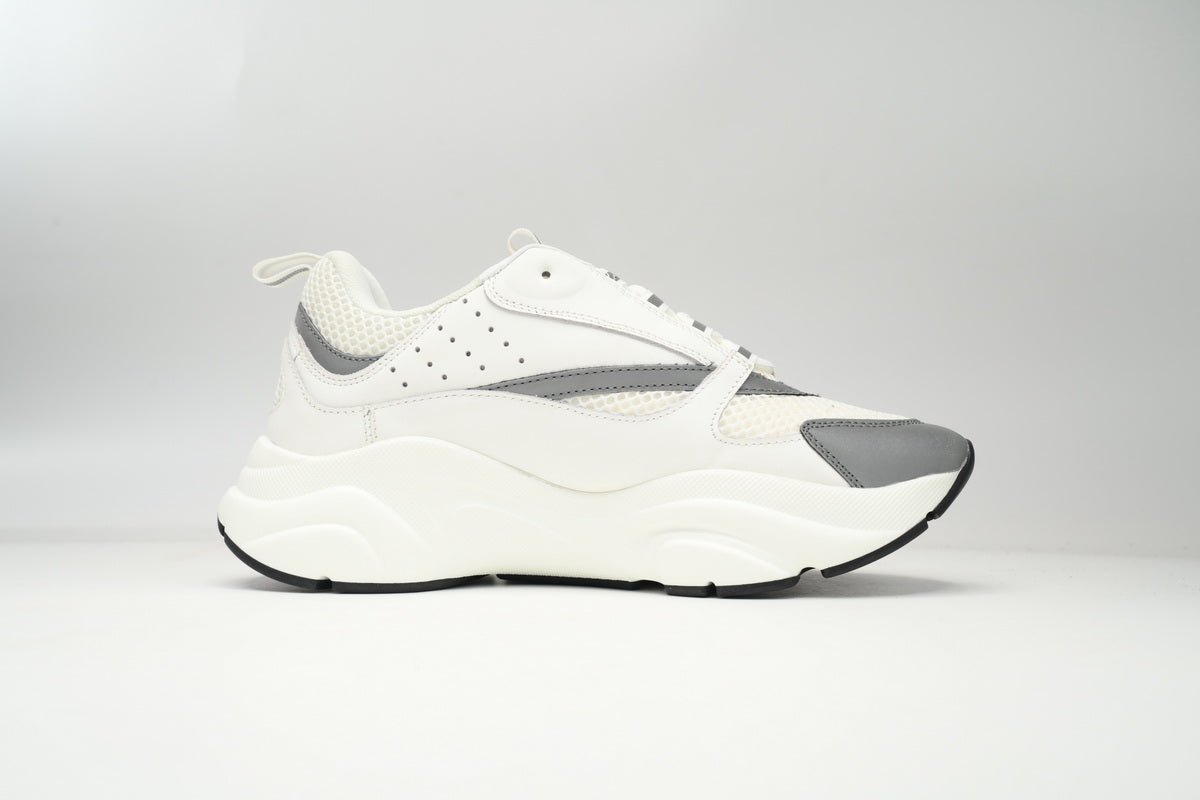 DIOR B22 WHITE SILVER - netstar