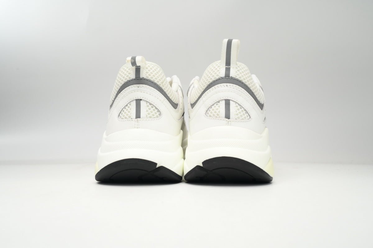 DIOR B22 WHITE SILVER - netstar
