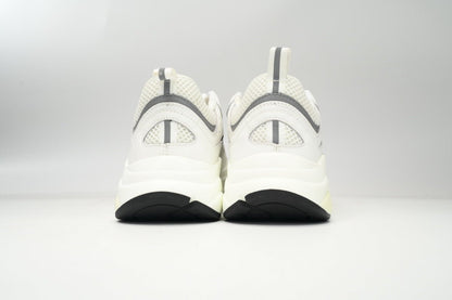 DIOR B22 WHITE SILVER - netstar