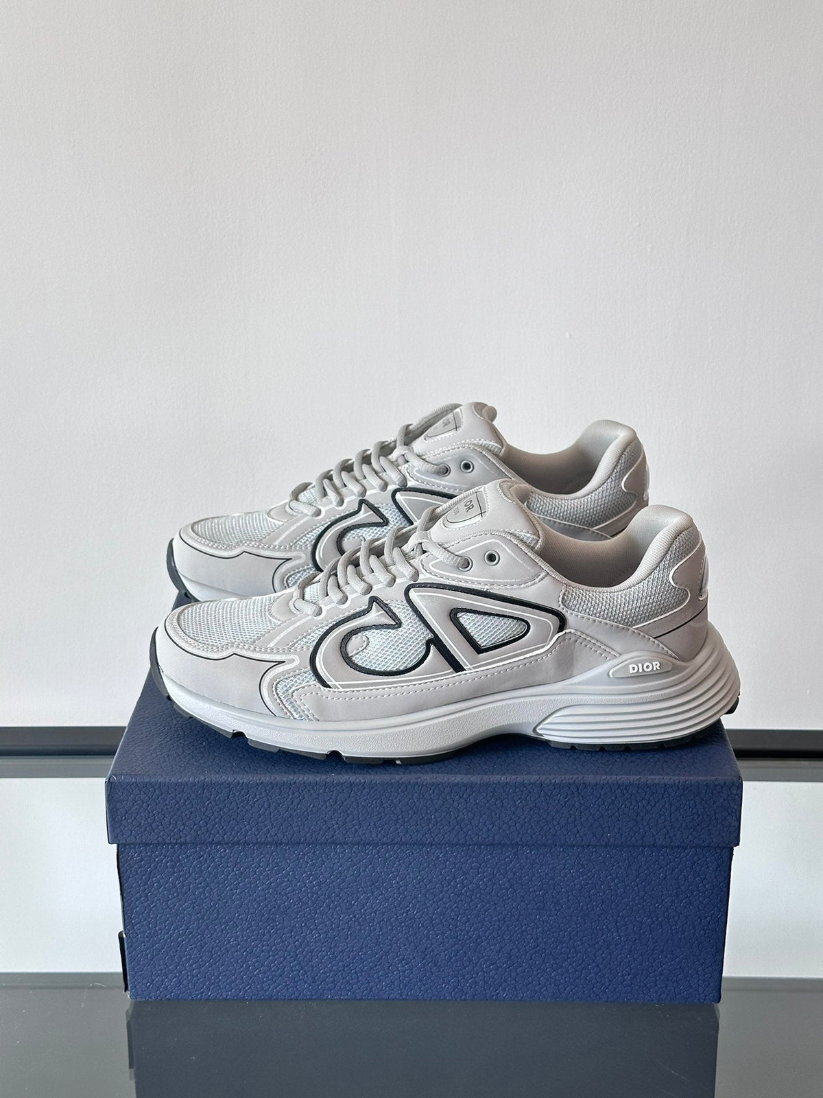 DIOR B30 GREY - netstar