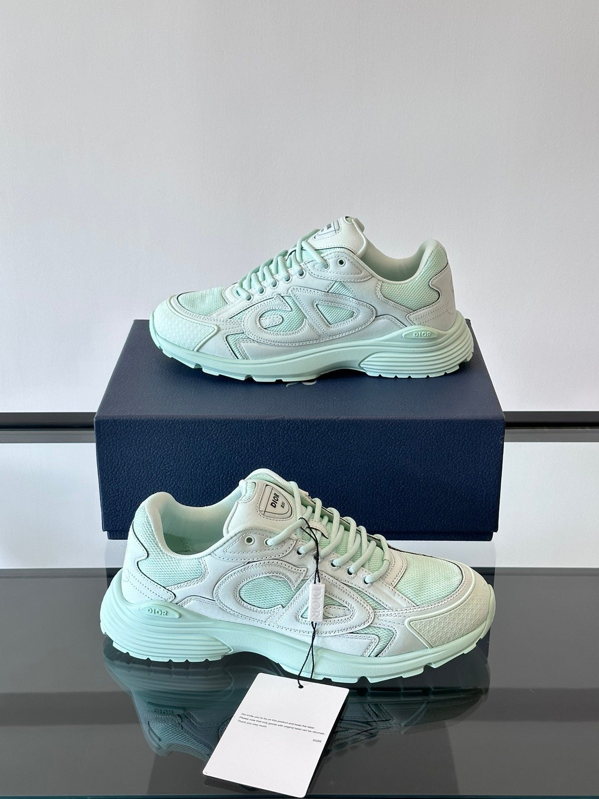 DIOR B30 LIGHT GREEN - netstar