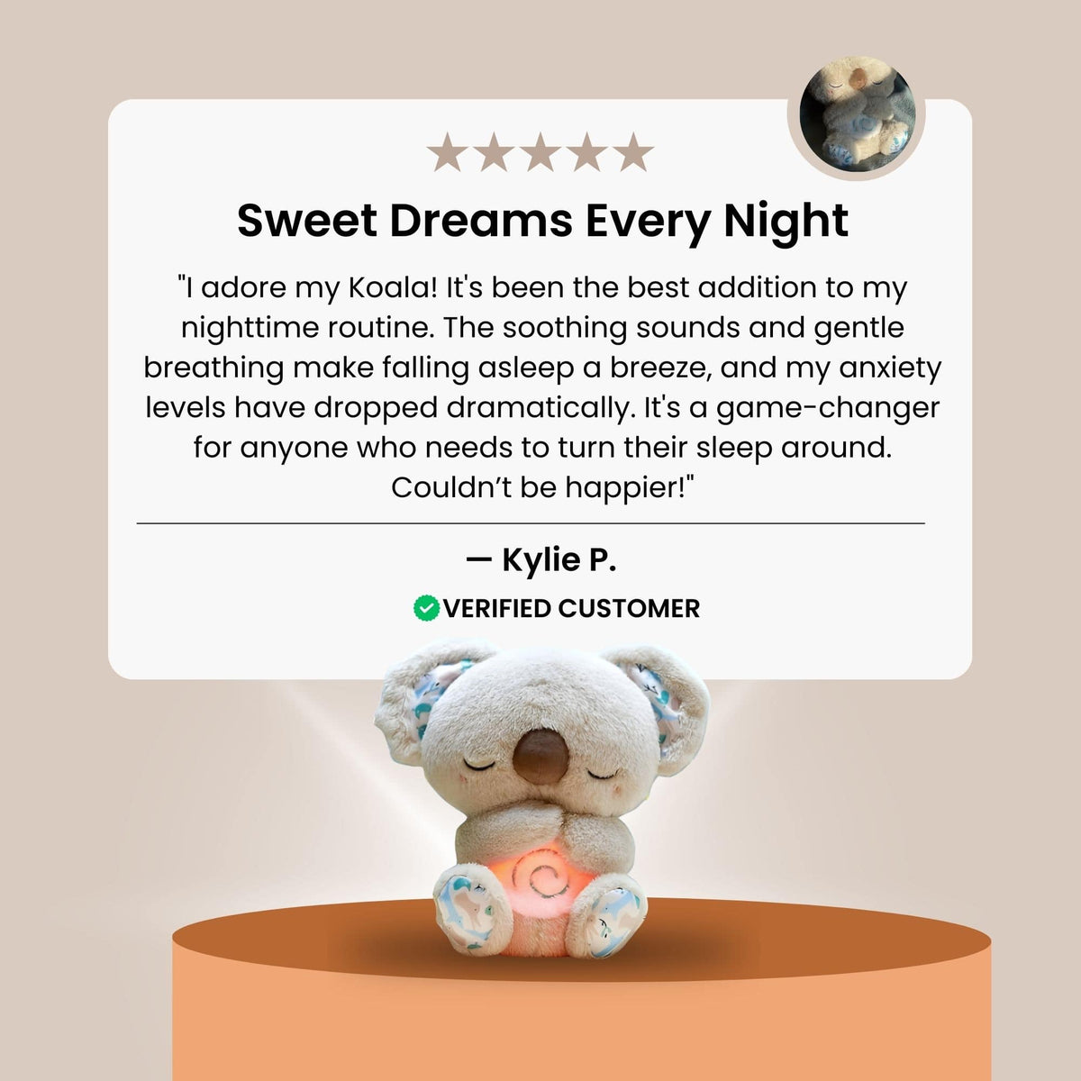 TheCuddler Koala™ - netstar