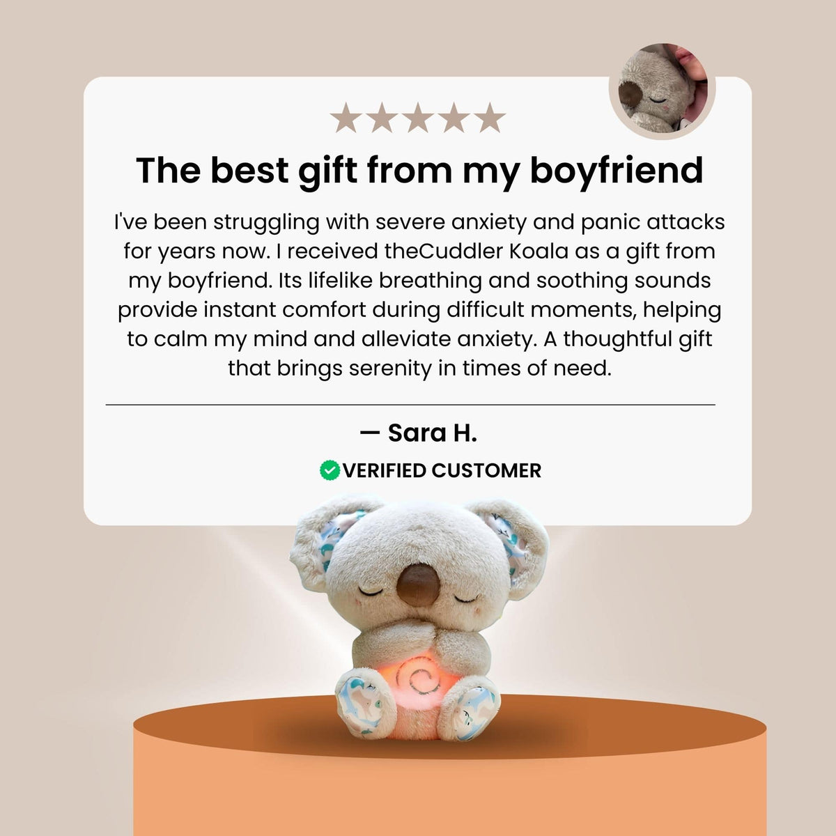 TheCuddler Koala™ - netstar